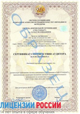 Образец сертификата соответствия аудитора №ST.RU.EXP.00006191-3 Биробиджан Сертификат ISO 50001